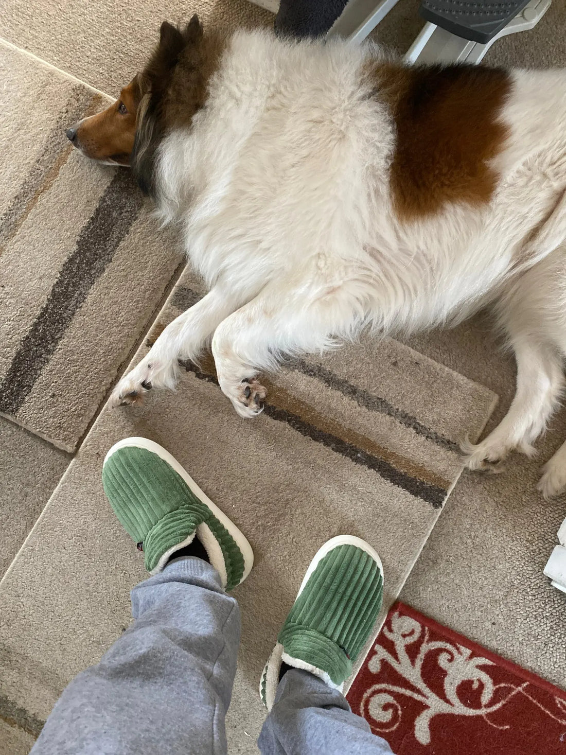 Collezione scarpe e borse