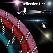 Guinzaglio Riflettente per Cani - ourpathh